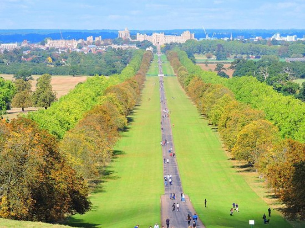 walk-in-great-park.jpg