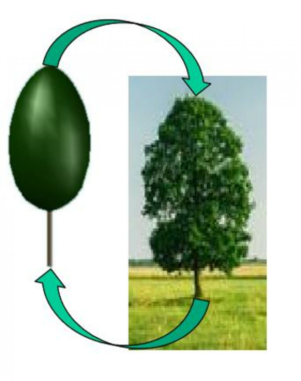 Picture 5.png